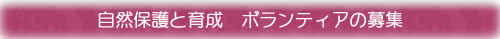 自然保護と育成 ボランティアの募集