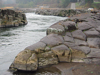 十川の亀の甲石