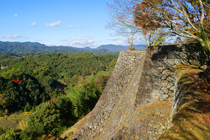 岡城跡