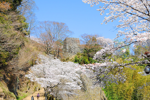 岡城跡