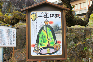 コンカツキツネ