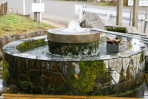 河宇田湧水