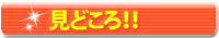 見どころ