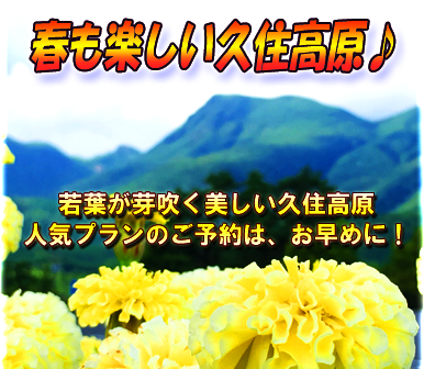 親孝行 親子旅 スキー デート カップル シニア 旅行にお得な宿泊プランが続々登場