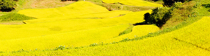 田園風景