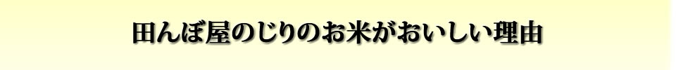 田んぼ屋のじりのお米がおいしい理由