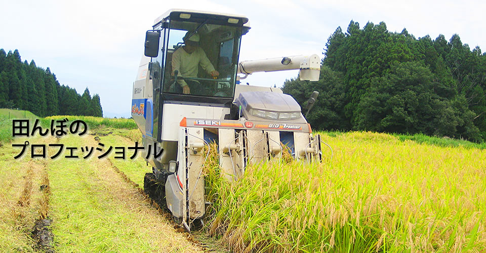 田んぼのプロフェッショナル