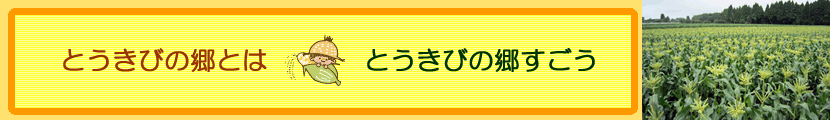 とうきびの郷とは